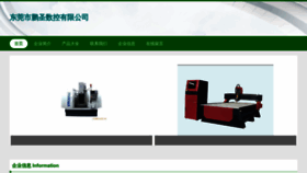 What Yzpengsheng.com website looks like in 2024 