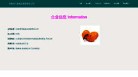 What Yongchebaomu.com website looks like in 2024 