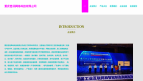 What Youxunim.com website looks like in 2024 