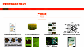What Youbangfeiye.com website looks like in 2024 