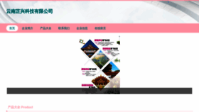 What Ynszxkj.com website looks like in 2024 