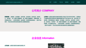 What Youwuhen.top website looks like in 2024 