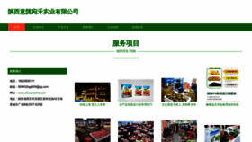 What Yilongwanhe.com website looks like in 2024 