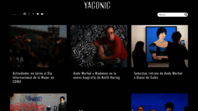 What Yaconic.com website looks like in 2024 
