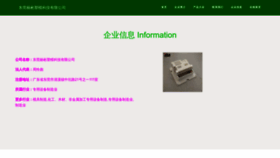 What Yangbin-dev.cn website looks like in 2024 
