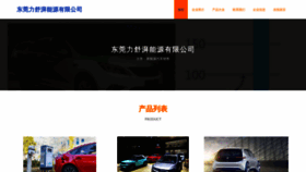 What Ydspnw.cn website looks like in 2024 