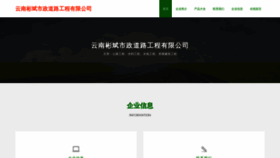 What Ynbinbin.cn website looks like in 2024 
