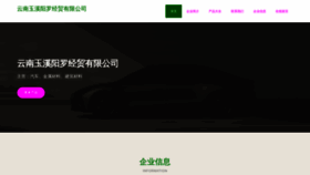 What Yneyl.cn website looks like in 2024 