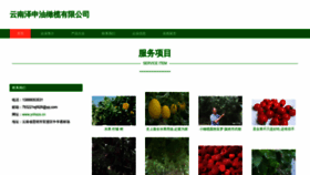 What Ynhszs.cn website looks like in 2024 