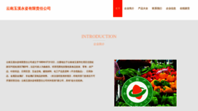 What Ynozi.cn website looks like in 2024 