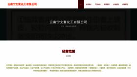 What Ynvsf.cn website looks like in 2024 