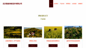 What Yosoinfo.cn website looks like in 2024 