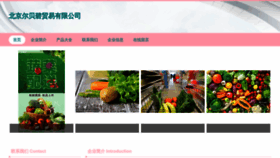 What Youerbaby.cn website looks like in 2024 