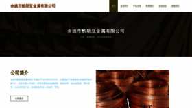 What Yykwkus.cn website looks like in 2024 