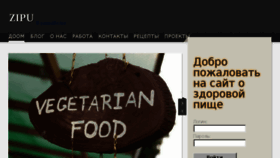 What Zipu.ru website looked like in 2013 (10 years ago)