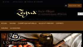 What Zeyna.fr website looked like in 2016 (8 years ago)
