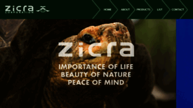 What Zicra.com website looked like in 2016 (8 years ago)