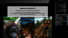What Zooview.tv website looked like in 2016 (7 years ago)