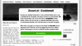 What Zvoort.nl website looked like in 2017 (7 years ago)