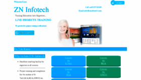 What Zninfotech.com website looked like in 2017 (6 years ago)