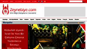What Zeynebiye.com website looked like in 2017 (6 years ago)