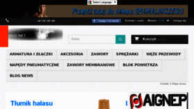 What Zogo-net.pl website looked like in 2017 (6 years ago)