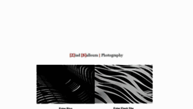 What Ziadsalloumphotography.com website looked like in 2017 (6 years ago)