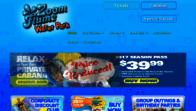 What Zoomflume.com website looked like in 2017 (6 years ago)