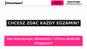 What Zakazanydlugopis.pl website looked like in 2017 (6 years ago)