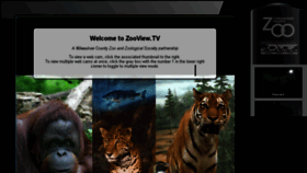What Zooview.tv website looked like in 2017 (6 years ago)