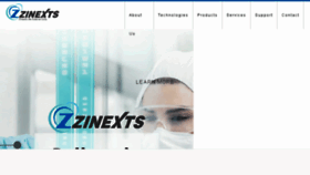 What Zinexts.com website looked like in 2018 (6 years ago)