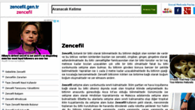 What Zencefil.gen.tr website looked like in 2018 (6 years ago)