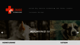 What Zauggvet.com website looked like in 2018 (5 years ago)