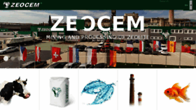 What Zeocem.com website looked like in 2018 (5 years ago)