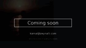 What Zeynalli.com website looked like in 2018 (5 years ago)