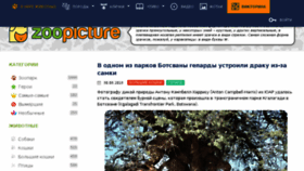 What Zoopicture.ru website looked like in 2018 (5 years ago)