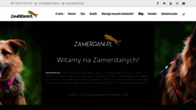 What Zamerdani.pl website looked like in 2018 (5 years ago)