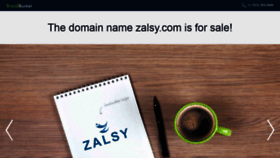 What Zalsy.com website looked like in 2018 (5 years ago)