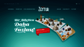 What Zeytur.com website looked like in 2019 (5 years ago)
