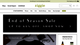 What Ziggie.com website looked like in 2019 (5 years ago)