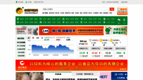 What Zhuwang.cc website looked like in 2019 (5 years ago)