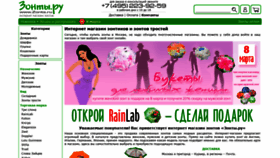What Zonts.ru website looked like in 2019 (5 years ago)
