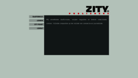 What Zity.com website looked like in 2019 (5 years ago)