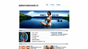 What Zhengyy.cn website looked like in 2019 (5 years ago)