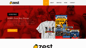 What Zestsms.com website looked like in 2019 (4 years ago)