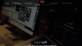 What Zeplinsoft.com website looked like in 2019 (4 years ago)