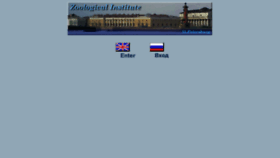 What Zin.ru website looked like in 2019 (4 years ago)