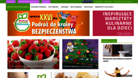 What Zdrowyprzedszkolak.pl website looked like in 2019 (4 years ago)