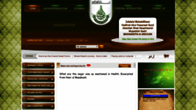 What Ziaislamic.com website looked like in 2019 (4 years ago)