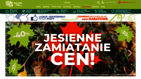 What Zielonytarg.pl website looked like in 2019 (4 years ago)